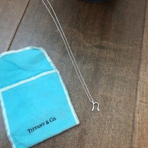 Tiffany & Co Elsa Peretti Letter N necklace